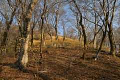 Z50_0064.jpg