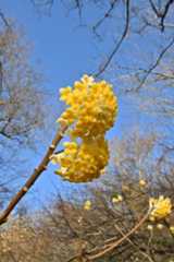 Z50_0087.jpg