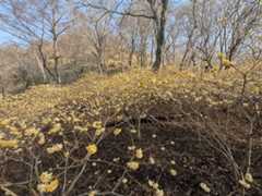 c306329cc6f09759619bb5441061c36a.jpg