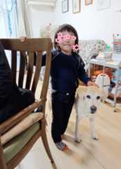 キーちゃんとコリー