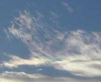 img284.jpg