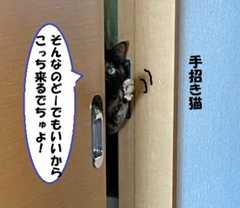 押し入れ離宮③