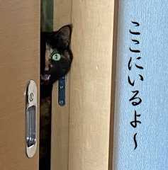 押し入れ離宮②
