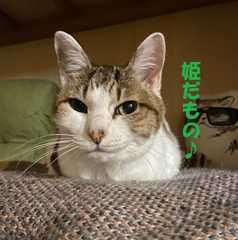 押し入れ離宮⑩