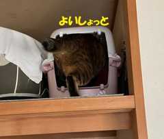 押し入れ離宮⑧