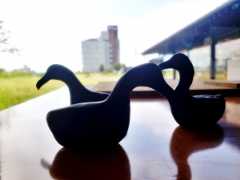 20230918_105625.jpg