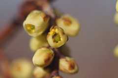 DSC04311.jpg