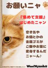 集めて支援