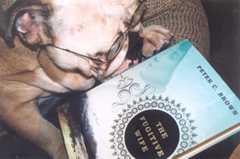 novel