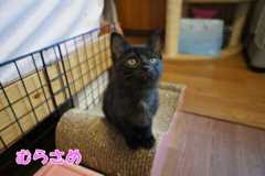 DSC00051.jpg