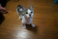 DSC00508.jpg