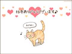枠付き）茶トラ素材　　拍手御礼　400*300