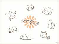 猫素材　　７ニャン