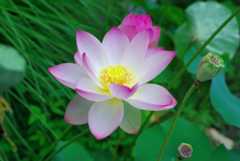 20120720_7.jpg