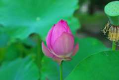 20120720_8.jpg