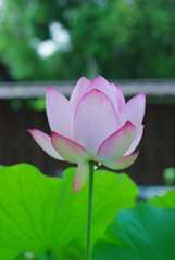 20120720_9.jpg