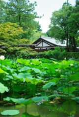 20120722_3.jpg