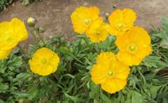 DSCF2860.jpg