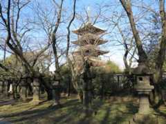 20131222_10.jpg