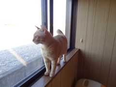 20150502004 (1)