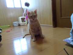 20150525027 (13)