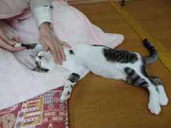 DSC02880.jpg