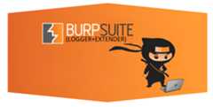 burp suite disable detect portal11 3