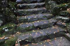 参道の紅葉 - 紅葉する永平寺の山内を歩く