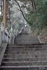 奥宮への石段 - こんぴらさんの石段で運動不足を解消