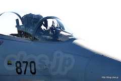 歓声に応える F-15 （62-8870） - 梅組最後の百里基地航空祭 2015（午後の機動飛行編 F-4, F-15）
