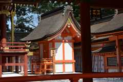 住吉神社 - 宇佐神宮の境内めぐり