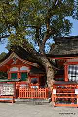 八子神社 - 宇佐神宮の境内めぐり