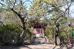 厳島神社 - 石神井公園を散策