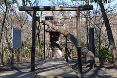 水神社 - 石神井公園を散策