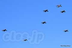 T-4 ７機のクリスマスツリー - 入間と言えば T-4 （入間基地航空祭 2018）