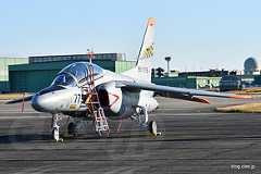 T-4（96-5775）地上展示 - エアフェスタ浜松 2018 事前訓練公開にいってきた