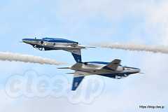  - ブルーインパルスからは少し早いクリスマスツリー（百里基地航空祭 2019）