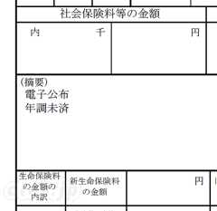 電子公布 - 「電子公布」の源泉徴収票？