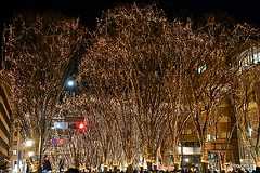 春日町交差点 - 2021 SENDAI 光のページェント～Step for NEW HOPE～