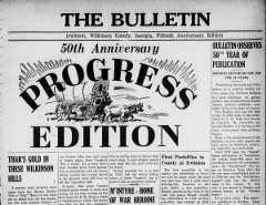 Wilkinson County Bulletin 50th anniversary edition