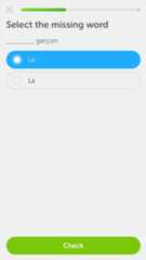 Missing word exercise