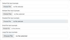New file input