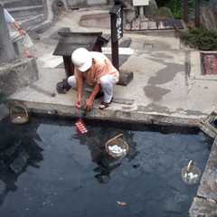 onsen-eggs