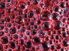 The Dramatic Effects of Yeast in Winemaking
