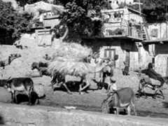 البقيعة عام 1910، بيتمونا