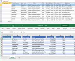 Export Database to Excel in c#