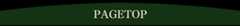 PAGETOP