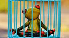 いざという時に投資信託が解約できない!? これはちょっとした恐怖……