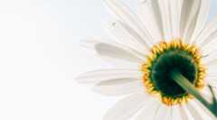 久々に重版出来！「お金は寝かせて増やしなさい」が9刷り決定