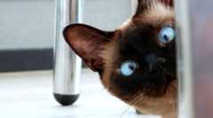 ムックのチェックでショック！？ でも楽しげな雰囲気だけちょい見せ…